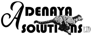 Adenaya Solutions Ltd Logo